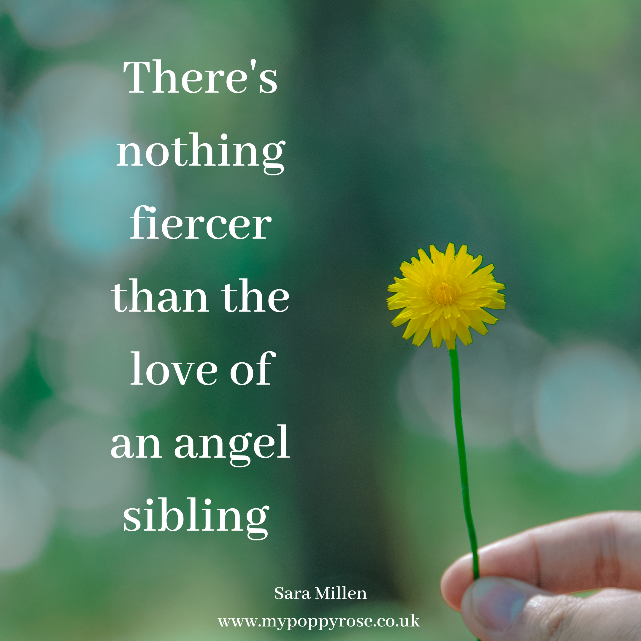 Words of an Angel Sibling - Baby Loss and Grief Quotes - My Poppy Rose